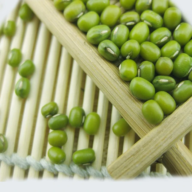 green beans cultivation