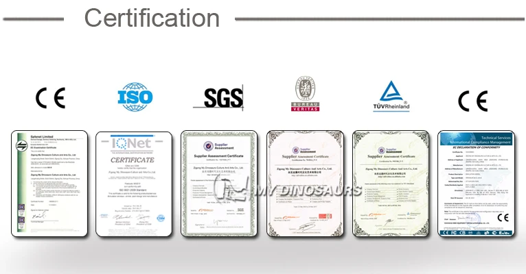 certificate.jpg