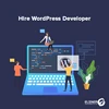 Hire Certified & Dedicated Wordpress Developer