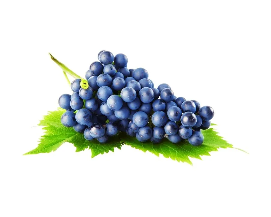all industries  agriculture  fruit  fresh fruit  fresh grapes