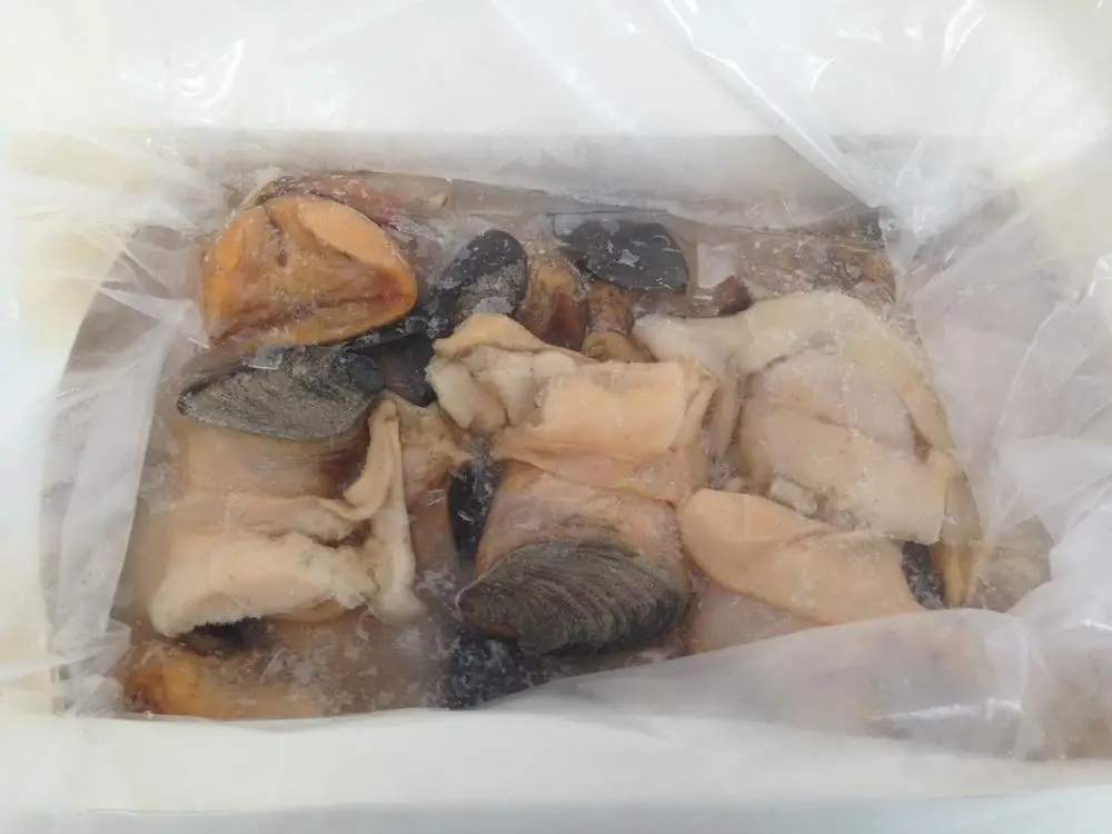 Conch Meat Buy Conch,Frozen Conch Product on