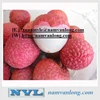 /product-detail/canned-lychee-fruit-with-best-price-50018048097.html