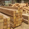 Quality pine wood timber/lumber used for construction/furniture