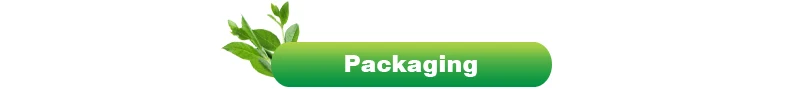 Packaging-t.jpg