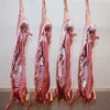 /product-detail/halal-fresh-frozen-goat-lamb-sheep-meat-carcass-50046272751.html