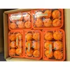 Best Selling Sweet Mikan Export Oranges Fresh from Japan