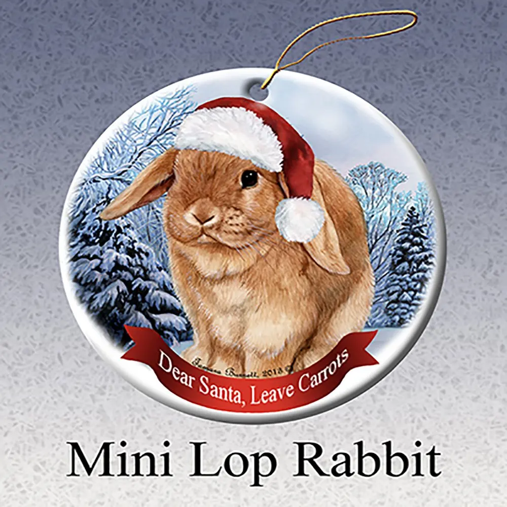 pet rabbit,peterrabbit holiday pet gifts mini lop rabbit santa hat porcelain christmas