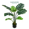 /product-detail/80cm-2-6ft-mall-ornamental-bonsai-plastic-artificial-turtle-leaf-plant-bonsai-tree-50045994334.html