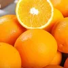 /product-detail/fresh-sweet-yellow-valencia-orange-62001502743.html