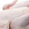 frozen whole chicken halal certified