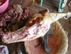 /product-detail/smoked-whole-goat-meat-for-sale-50045797782.html