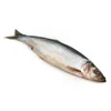 /product-detail/pacific-herring-62003655304.html