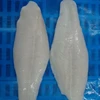 /product-detail/frozen-pangasius-fillets-well-trimed-good-price-whatsapp-viber-84-989322607-50037794862.html