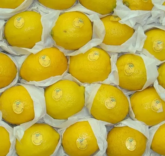 Farm Fresh chicken egg white and brown size for sale