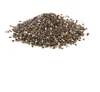 /product-detail/high-quality-black-chia-seed-manufacture-from-india-50043159321.html