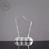 Champions Cup Trophy Crystal Souvenirs Craft