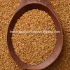/product-detail/indian-dried-berseem-clover-seeds-in-best-price-50036306666.html
