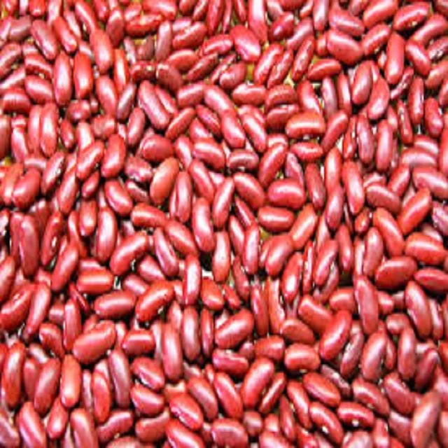 Organic Long IQF Red Kidney Beans