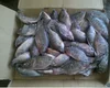 /product-detail/frozen-tilapia-fish-frozen-whole-round-tilapia-fish-50038867291.html
