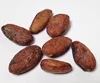 /product-detail/sun-dried-cocoa-beans-dried-grade-a-cocoa-cacao-chocolate-bean-62001287195.html