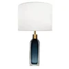 A pair of blue glass lamps with thick clear glass casing and brass hardware table lamp