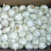 /product-detail/fresh-normal-white-garlic-thailand-garlic-big-size-garlic-62006792152.html