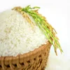 /product-detail/white-rice-15-broken-62006720747.html