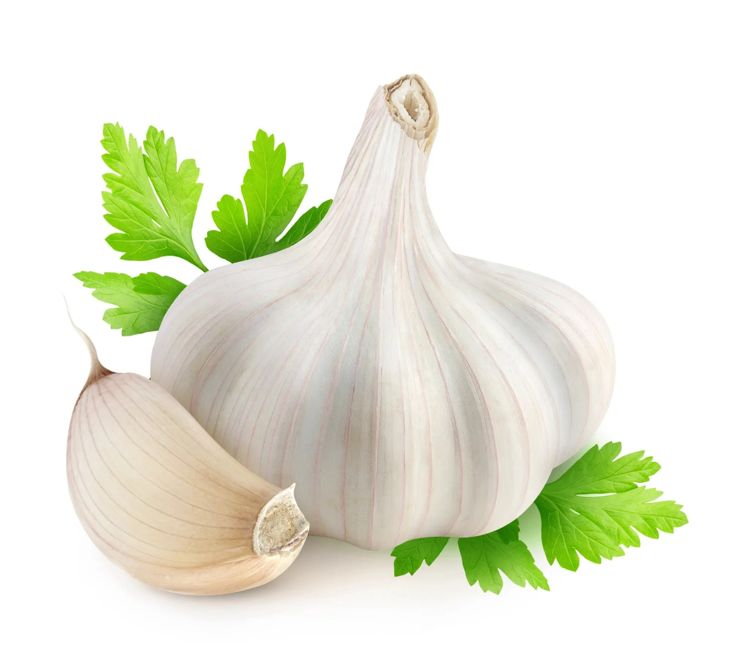 white garlic 4.5cm 5.0cm 5.5cm 6.0cm fresh white