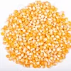 /product-detail/yellow-corn-maize-50037815739.html
