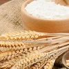 /product-detail/quality-wheat-starch-whole-wheat-flour-50036968130.html