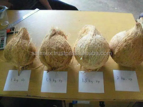 semi husk coco size.JPG