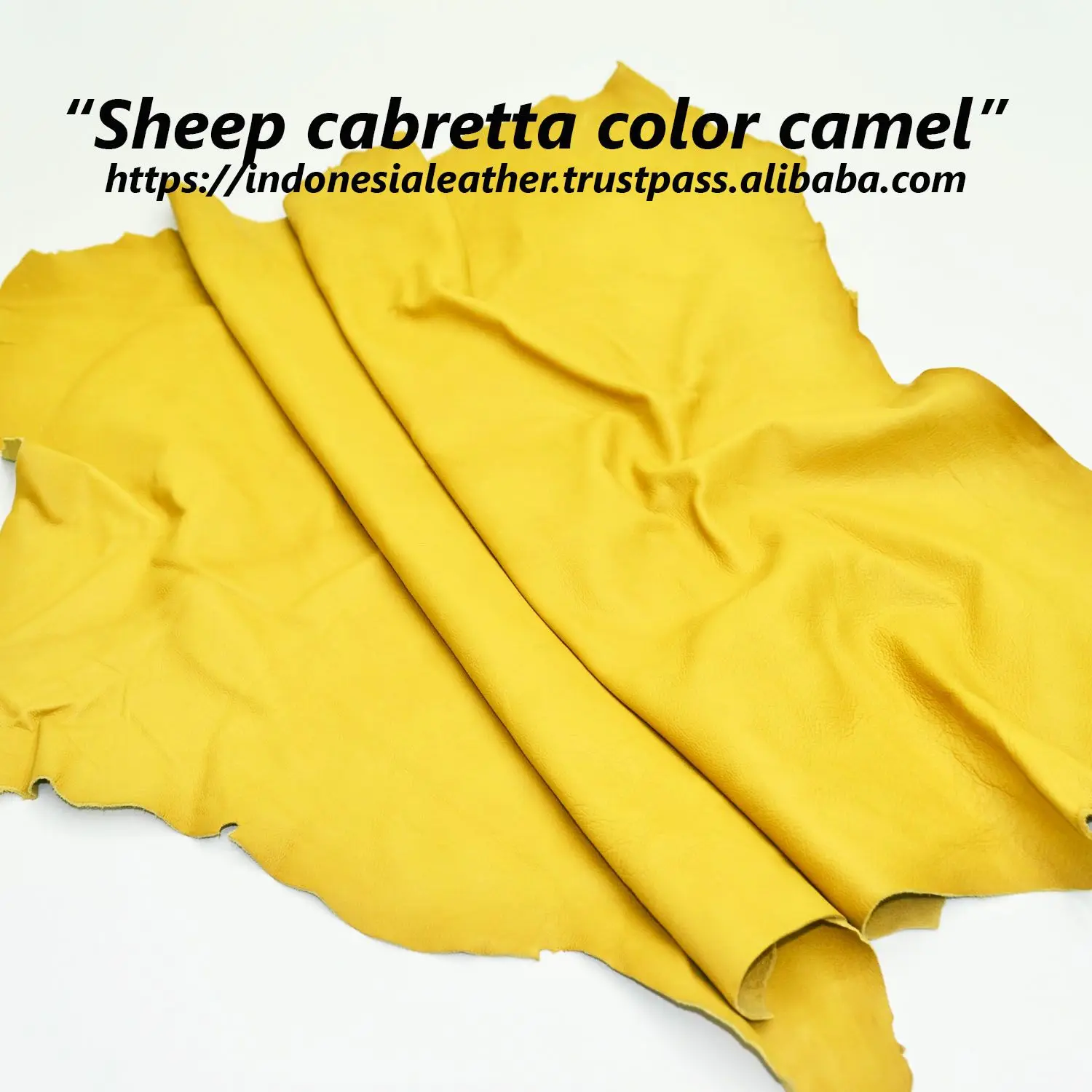 Sheep Cabretta Col. camel.jpg