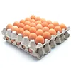 100%Fresh Table Eggs White