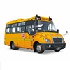 China Dongfeng bus factory 6.6m small yellow school bus sale