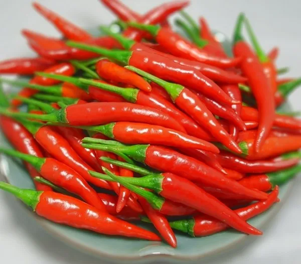 mild chilies pieces