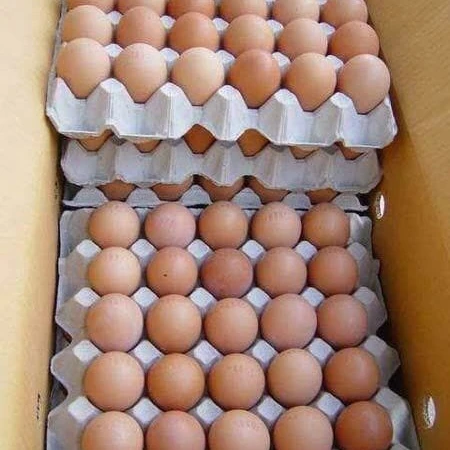 Farm Fresh Chicken Table Eggs Brown and White Shell Chicken Eggs For Sell