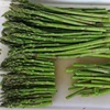 /product-detail/high-quality-best-canned-green-asparagus-for-sale--50041362315.html