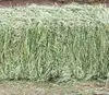 /product-detail/high-quality-animal-feed-alfalfa-meal-alfalfa-hay-for-sale-50038641493.html