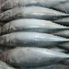 Thailand Factory direct price bqf whole round fresh frozen fish horse mackerel