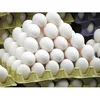 /product-detail/white-and-brown-chicken-eggs-fresh-table-eggs-for-sale-50045887619.html