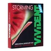 /product-detail/for-storming-chewing-gum-62002249206.html