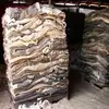 /product-detail/wet-salted-dry-salted-donkey-hides-and-cow-hides-cattle-hides-animal-skin-goats-horses-62000811525.html