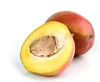 WholeSale Supplier of Mango Seed from India