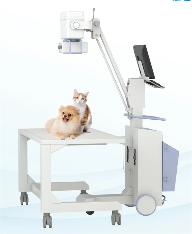 BR-VX01 For for animal head, limbs, chest buy veterinary digital x ray prices