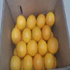 /product-detail/egyptian-orange-exporters-if-you-look-we-are-no1--50037241434.html