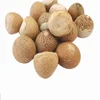 High Quality Betel Nuts at cheap rates