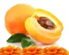 /product-detail/turkish-origin-sun-dried-apricots-yellow-natural--62007250566.html