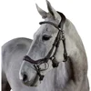 /product-detail/horse-comfort-bridle-fancy-decorative-anatomical-horse-bridle-horse-riding-anatomic-bridle-50045041523.html