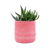 Supplier of Cotton Fabric Jute Plant Holder