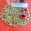 /product-detail/robusta-arabica-green-coffee-bean-grade-a-screen-13-18-ms-jenifer-0084909740687-50042418847.html